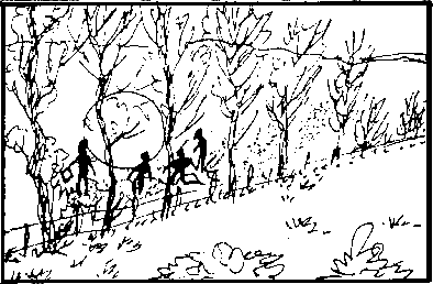 Dessin de la scene