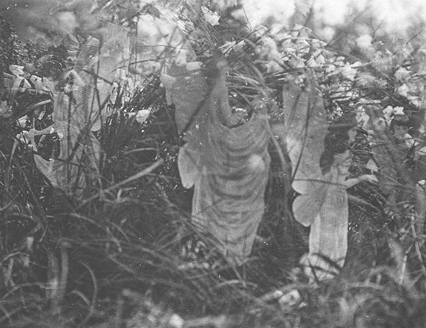 les fees de Cottingley