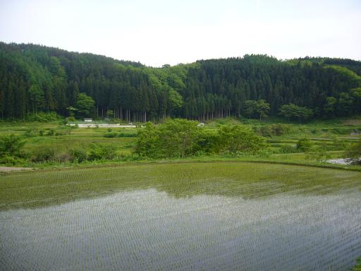 Paysage typique de Shingo